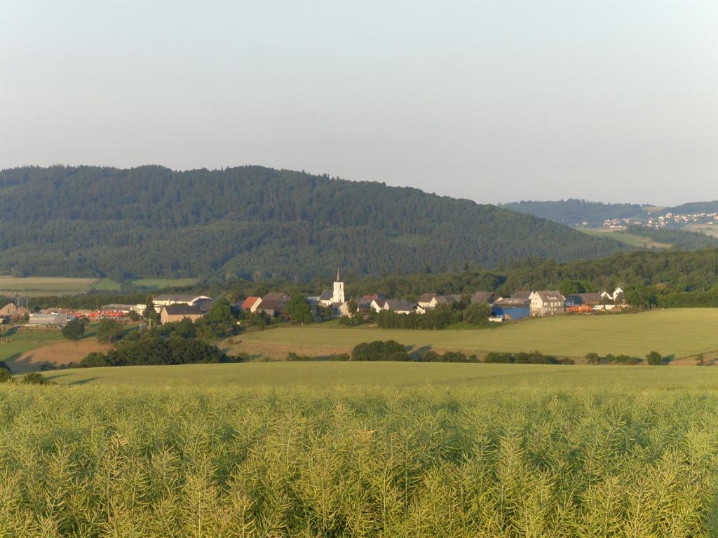Haus Irmgard Villa Schlierschied Eksteriør bilde